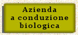 Azienda a conduzione biologica, certificata da I.C.E.A. - Istituto per la Certificazione Etica e Ambientale